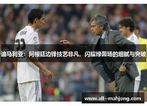 迪马利亚：阿根廷边锋技艺非凡，闪耀绿茵场的细腻与突破